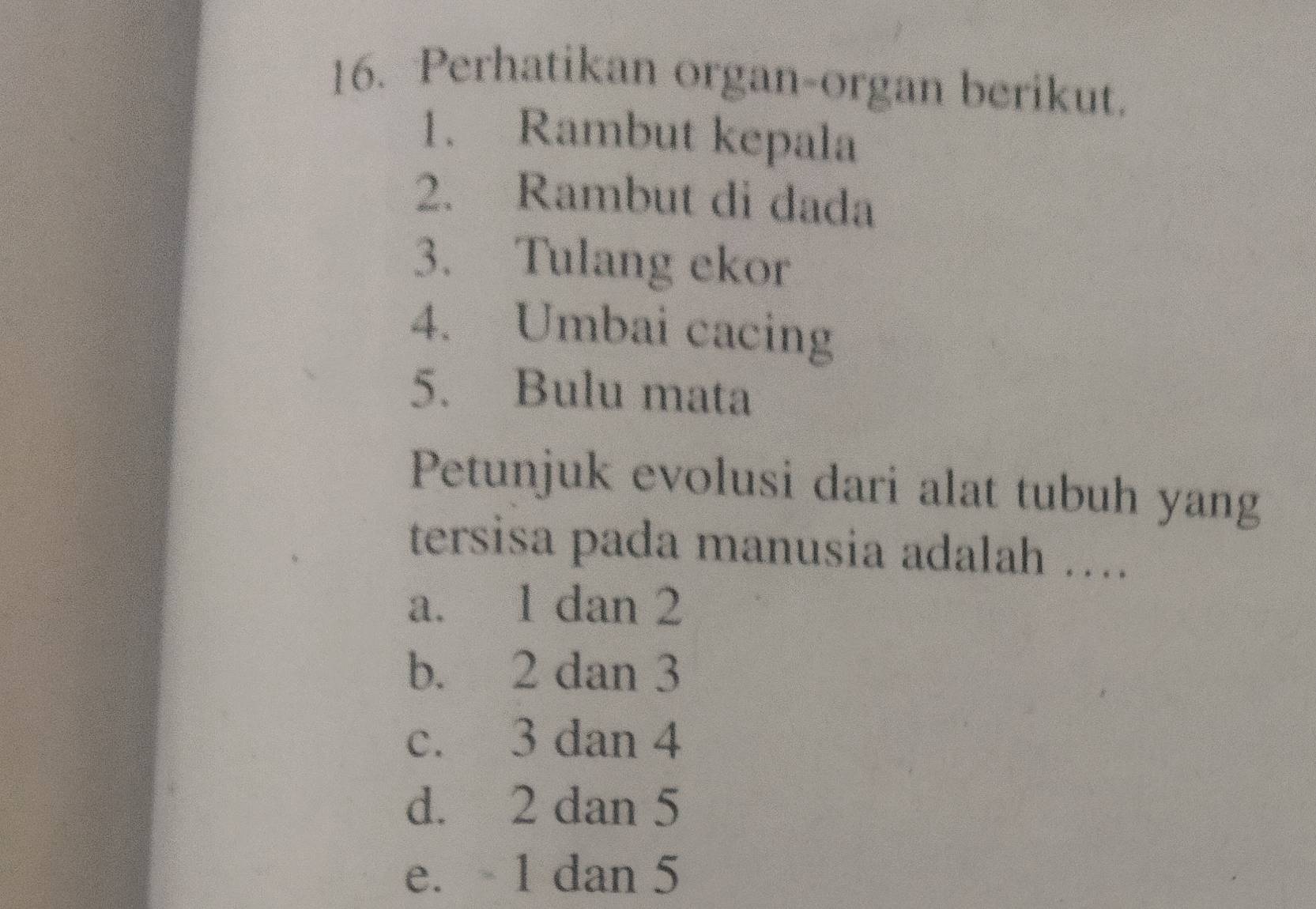 Perhatikan organ-organ berikut.
1. Rambut kepala
2. Rambut di dada
3. Tulang ekor
4. Umbai cacing
5. Bulu mata
Petunjuk evolusi dari alat tubuh yang
tersisa pada manusia adalah ….
a. 1 dan 2
b. 2 dan 3
c. 3 dan 4
d. 2 dan 5
e. 1 dan 5