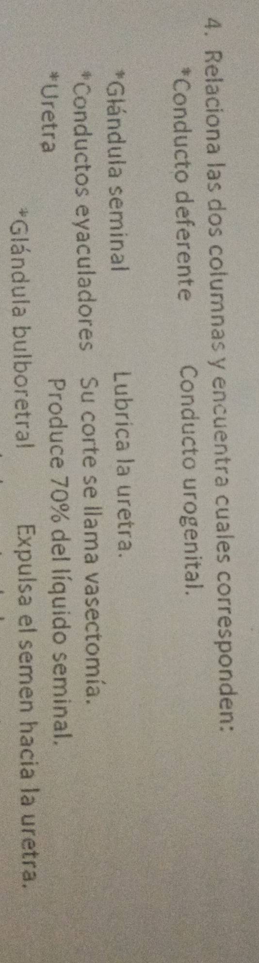 Relaciona las dos columnas y encuentra cuales corresponden: 
*Conducto deferente Conducto urogenital. 
*Glándula seminal Lubríca la uretra. 
*Conductos eyaculadores Su corte se llama vasectomía. 
*Uretra Produce 70% del líquido seminal. 
*Glándula bulboretral Expulsa el semen hacia la uretra.