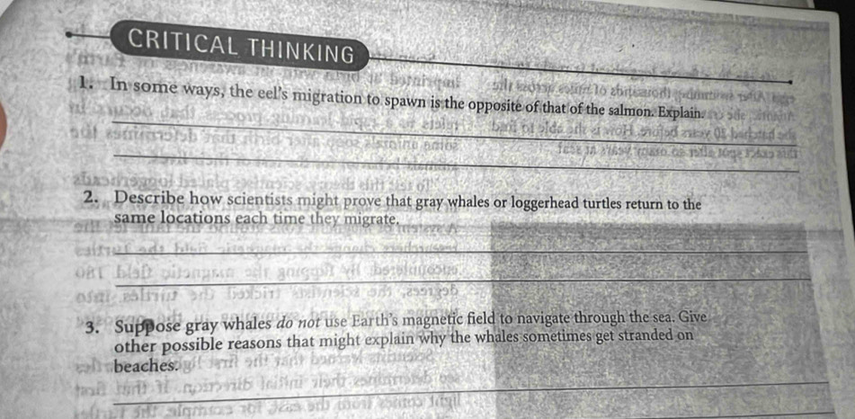 CRITICAL THINKING 
_ 
1. In some ways, the eel’s migration to spawn is the opposite of that of the salmon. Explain. 
_ 
2. Describe how scientists might prove that gray whales or loggerhead turtles return to the 
same locations each time they migrate. 
_ 
_ 
3. Suppose gray whales do not use Earth’s magnetic field to navigate through the sea. Give 
other possible reasons that might explain why the whales sometimes get stranded on 
beaches. 
_ 
_ 
_