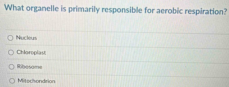 What organelle is primarily responsible for aerobic respiration?
Nucleus
Chloroplast
Ribosome
Mitochondrion