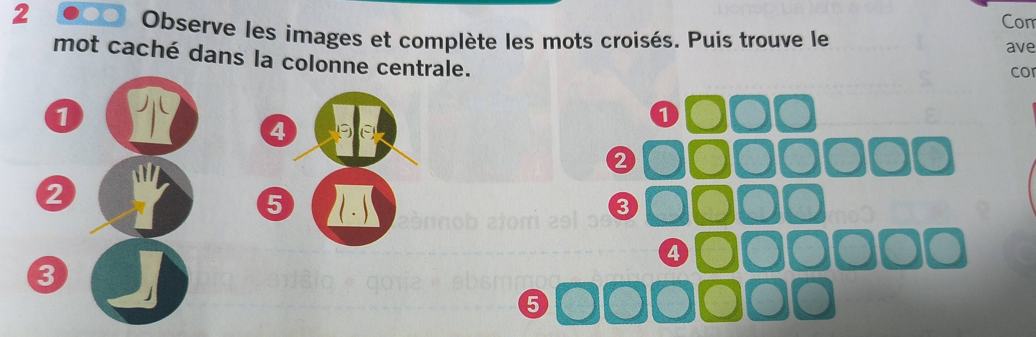 Com 
Observe les images et complète les mots croisés. Puis trouve le 
ave 
mot caché dans la colonne centrale. 
co 
1
4
C
2
5
3
5