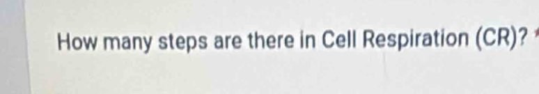 How many steps are there in Cell Respiration (CR)?
