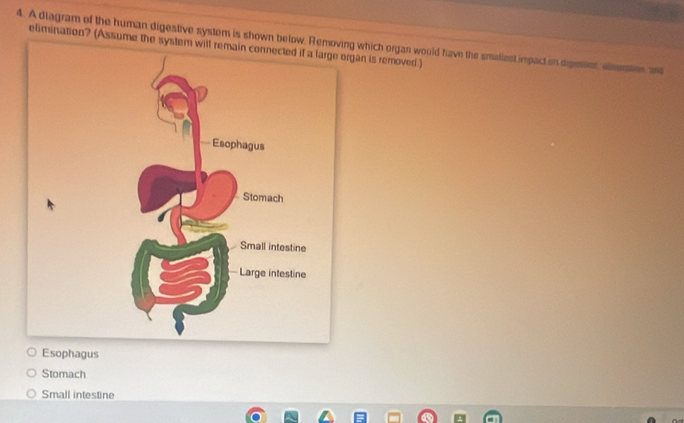 A diagram of the human digestive system is showwhich organ would have the smallest impact on digesties, elseration, and
elimination? (Assume the system will remain connected if a large organ is removed.)
Esophagus
Stomach
Small intestine