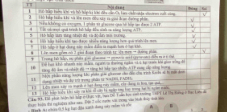 TT 
thực hiện thi nghiệm nâ 
ịnh A: chứa 0,5 kg hại đâu sanh đang sày tằm và củn 1