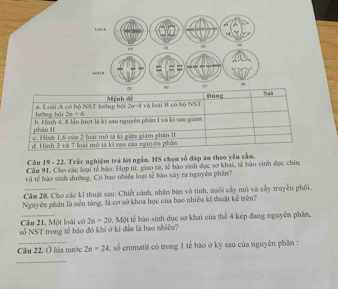 Loài A
(1) (2) (3) (4)
Loài B
(5) (6) (7)
(8) 、
Mệnh đề Đúng Sai
a. Loài A có bộ NST lưỡng bội 2n=4 và loài B có bộ NST
lưỡng bội 2n=6
b. Hình 4, 8 lần lượt là kì sau nguyên phân I và kì sau giảm
phân II
c. Hình 1, 6 của 2 loài mô tả kì giữa giảm phân II
d. Hình 3 và 7 loài mô tả kì sau của nguyên phân
Câu 19 - 22. Trắc nghiệm trả lời ngắn. HS chọn số đáp án theo yêu cầu.
Câu 91. Cho các loại tế bào: Hợp tử, giao tử, tế bào sinh dục sơ khai, tế bào sinh dục chín
và tế bào sinh dưỡng. Có bao nhiêu loại tế bào xảy ra nguyên phân?
Câu 20. Cho các kĩ thuật sau: Chiết cành, nhân bản vô tính, nuôi cấy mô và cấy truyền phối.
Nguyên phân là nền tảng, là cơ sở khoa học của bao nhiêu kĩ thuật kể trên?
_Câu 21. Một loài có 2n=20. Một tế bào sinh dục sơ khai của thể 4 kép đang nguyên phân,
số NST trong tế bào đó khi ở kì đầu là bao nhiêu?
Câu 22. Ở lúa nước 2n=24 S, số cromatit có trong 1 tế bào ở kỳ sau của nguyên phân :
_