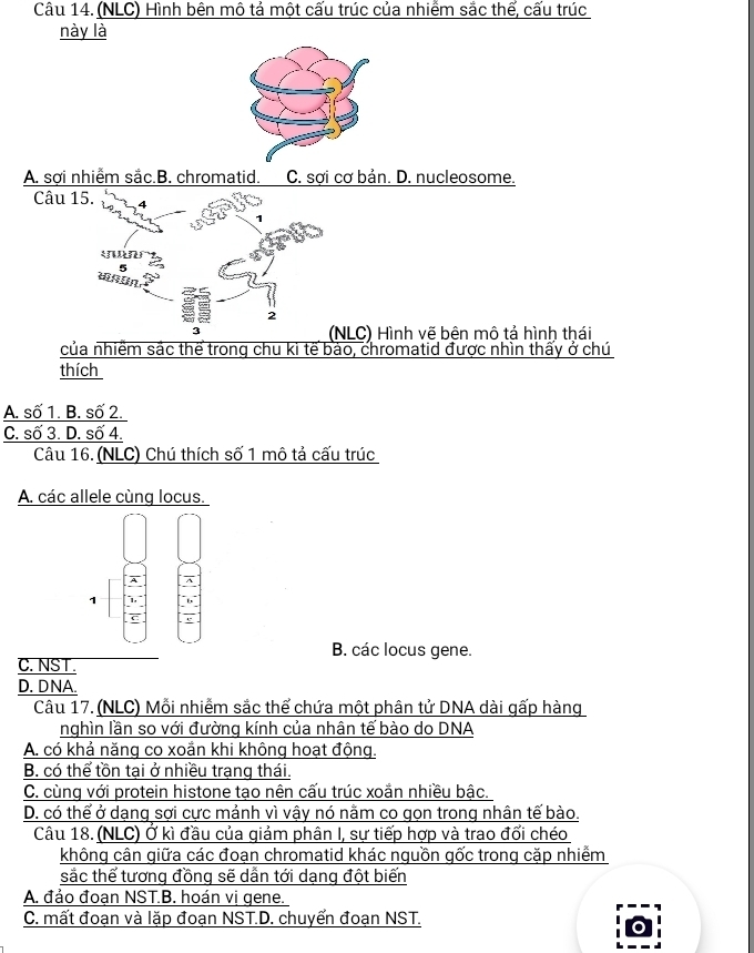 (NLC) Hình bên mô tả một cấu trúc của nhiềm sắc thế, cấu trúc
này là
A. sợi nhiễm sắc.B. chromatid. C. sợi cơ bản. D. nucleosome.
Câu 15. 4
u n
6
2
(NLC) Hình vẽ bên mô tả hình thái
của nhiềm sắc thể trong chu kì tế bảo, chromatid được nhìn thấy ở chú
thích
A. số 1. B. số 2.
C. số 3. D. số 4.
Câu 16. (NLC) Chú thích số 1 mô tả cấu trúc
A. các allele cùng locus.
1
B. các locus gene.
C. NST.
D. DNA.
Câu 17. (NLC) Mỗi nhiễm sắc thể chứa một phân tử DNA dài gấp hàng
nghìn lần so với đường kính của nhân tế bào do DNA
A. có khả năng co xoắn khi không hoạt động.
B. có thể tồn tại ở nhiều trạng thái.
C. cùng với protein histone tạo nên cấu trúc xoắn nhiều bậc.
D. có thể ở dạng sợi cực mảnh vì vậy nó nằm co gọn trong nhân tế bào.
Câu 18. (NLC) Ở kì đầu của giảm phân I, sự tiếp hợp và trao đổi chéo
không cân giữa các đoạn chromatid khác nguồn gốc trong cặp nhiễm
sắc thể tương đồng sẽ dẫn tới dạng đột biến
A. đảo đoạn NST.B. hoán vị gene.
C. mất đoạn và lặp đoạn NST.D. chuyển đoạn NST.