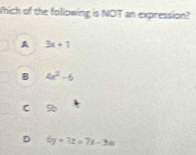 Which of the following is NOT an expression?
A 3x+1
B 4x^2-5
C Sb
D 6y-7z=7x-3w