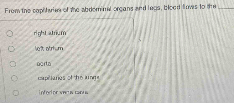 From the capillaries of the abdominal organs and legs, blood flows to the_
right atrium
left atrium
aorta
capillaries of the lungs
inferior vena cava