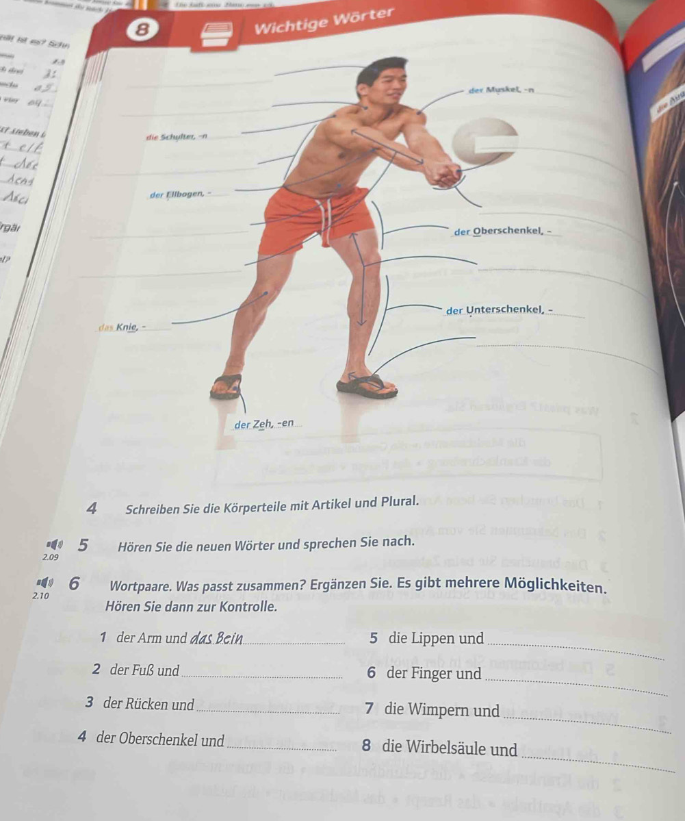 Wichtige Wörter 
Blt lt e? Sc 

v r 
_ 
_ 
Irgär 
4 Schreiben Sie die Körperteile mit Artikel und Plural. 
5 Hören Sie die neuen Wörter und sprechen Sie nach.
2.09
6
2. 10 Wortpaare. Was passt zusammen? Ergänzen Sie. Es gibt mehrere Möglichkeiten. 
Hören Sie dann zur Kontrolle. 
1 der Arm und das Bein_ 5 die Lippen und_ 
_ 
2 der Fuß und _6 der Finger und 
_ 
3 der Rücken und _7 die Wimpern und 
_ 
4 der Oberschenkel und _8 die Wirbelsäule und