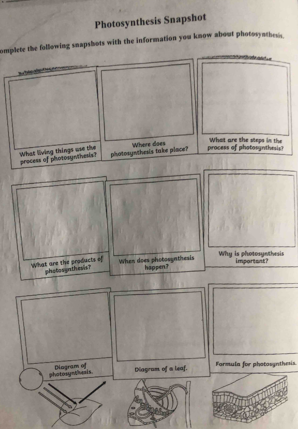 Photosynthesis Snapshot 
omplete the following snapshots with the information you know about photosynthesis. 
Why is photosynthesis 
What are the products of When does photosynthesis important? 
photosynthesis? happen? 
Diagram of 
photosynthesis. 
Diagram of a leaf. Formula for photosynthesis.