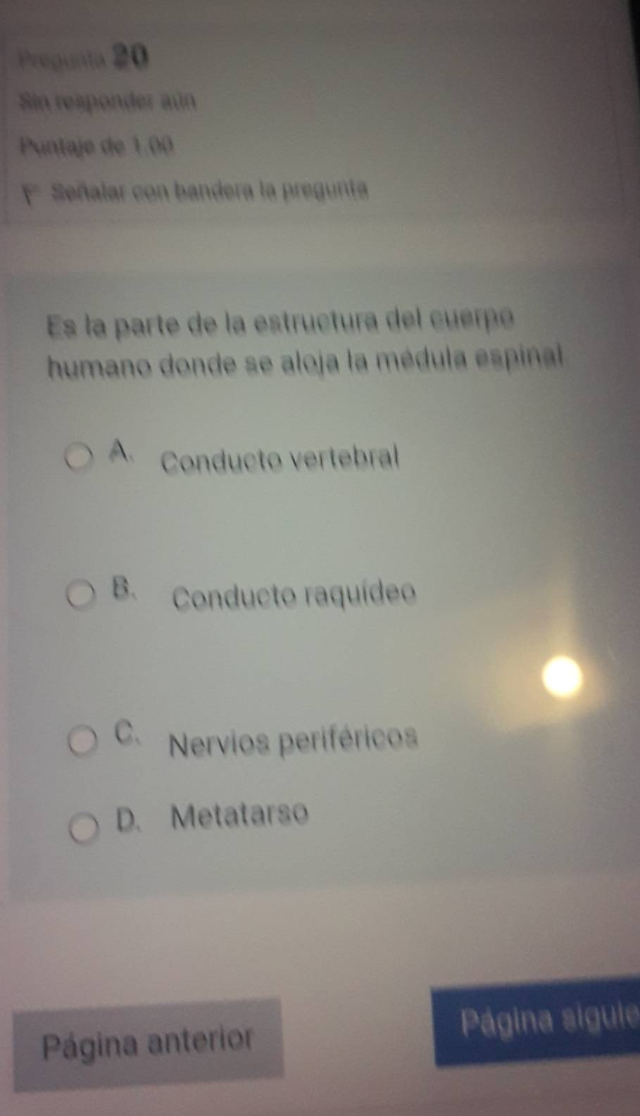 Pregunta 20
Sin responder aún
Puntaje de 1.00
* Señalar con bandera la pregunta
Es la parte de la estructura del cuerpó
humano donde se aloja la médula espinal
A. Conducto vertebral
B. Conducto raquídeo
C. Nervios periféricos
D. Metatarso
Página anterior Página sigule