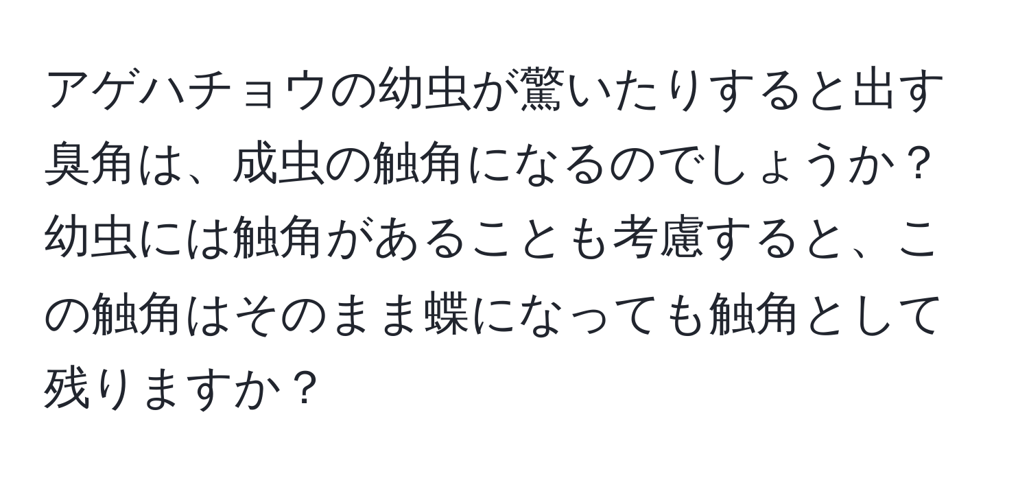 アゲハチョウの幼虫が驚いたりすると出す臭角は、成虫の触角になるのでしょうか？幼虫には触角があることも考慮すると、この触角はそのまま蝶になっても触角として残りますか？