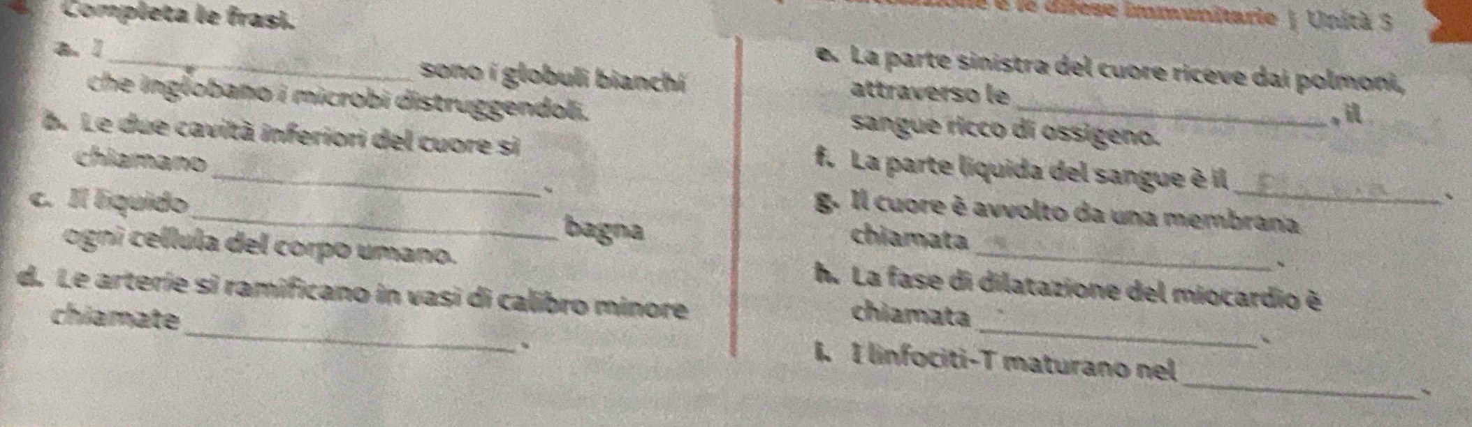 lé é le difese immunitarie | Unità 3 
Completa le frasi. e. La parte sinistra del cuore riceve dai polmoni, 
a. /_ sono í globuli bianchí attraverso le 
che inglobano i microbi distruggendoli. sangue ricco di ossígeno. 
, 
b. Le due cavità inferiori del cuore si f. La parte liquida del sangue é il_ 
chiamano g. Il cuore è avvolto da una membrana 
c. Il líquido_ bagna 
chiamata 
ogni cellula del corpo umano. h. La fase di dilatazione del miocardio é 
d. Le arterie si ramificano in vasi di calibro minore 
chiamata 
_ 
chiamate_ 1. I linfociti-T maturano nel 
、