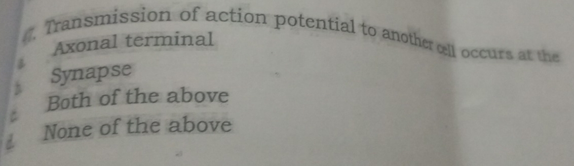 Transmission of action potential to another œell occurs at the
Axonal terminal
Synapse
Both of the above
None of the above