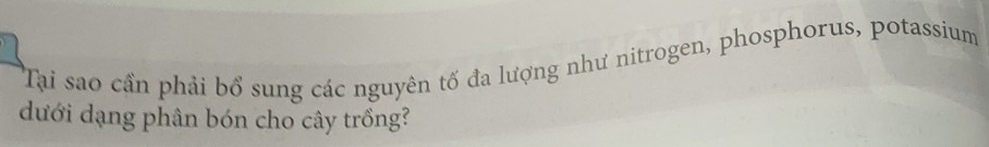 Tại sao cần phải bổ sung các nguyên tố đa lượng như nitrogen, phosphorus, potassium 
dưới dạng phân bón cho cây trồng?