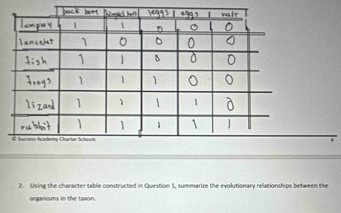 Using the character table constructed in Question 1, summarize the evolutionary relationships between the 
organisms in the taxon.