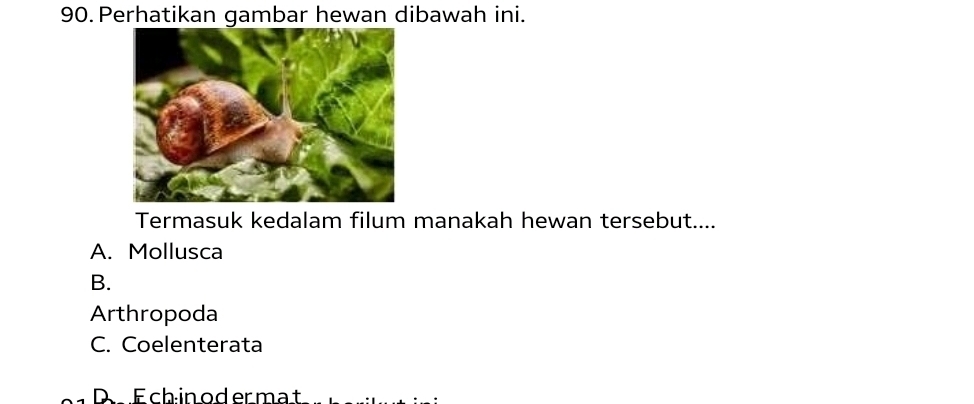 Perhatikan gambar hewan dibawah ini.
Termasuk kedalam filum manakah hewan tersebut....
A. Mollusca
B.
Arthropoda
C. Coelenterata
D Ech in od er mat