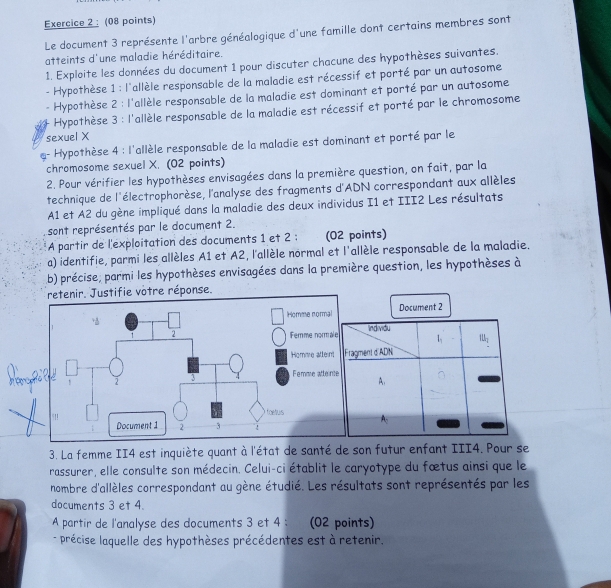 Le document 3 représente l'arbre généalogique d'une famille dont certains membres sont
atteints d'une maladie héréditaire.
1. Exploite les données du document 1 pour discuter chacune des hypothèses suivantes.
- Hypothèse 1 : l'allèle responsable de la maladie est récessif et porté par un autosome
Hypothèse 2 : l'allèle responsable de la maladie est dominant et porté par un autosome
Hypothèse 3 : l'allèle responsable de la maladie est récessif et porté par le chromosome
sexuel X
e- Hypothèse 4 : l'allèle responsable de la maladie est dominant et porté par le
chromosome sexuel X. (02 points)
2. Pour vérifier les hypothèses envisagées dans la première question, on fait, par la
technique de l'électrophorèse, l'analyse des fragments d'ADN correspondant aux allèles
A1 et A2 du gène impliqué dans la maladie des deux individus I1 et III2 Les résultats
sont représentés par le document 2.
A partir de l'exploitation des documents 1 et 2 ; (02 points)
a) identifie, parmi les allèles A1 et A2, l'allèle normal et l'allèle responsable de la maladie.
b) précise, parmi les hypothèses envisagées dans la première question, les hypothèses à
retenir. Justifie votre réponse.
me normal Document 2
me norma
mme attei
mme attei
3. La femme II4 est inquiète quant à l'état de santé de son futur enfant III4. Pour se
rassurer, elle consulte son médecin. Celui-ci établit le caryotype du fœtus ainsi que le
nombre d'allèles correspondant au gène étudié. Les résultats sont représentés par les
documents 3 et 4.
A partir de l'analyse des documents 3 et 4 : (02 points)
précise laquelle des hypothèses précédentes est à retenir.