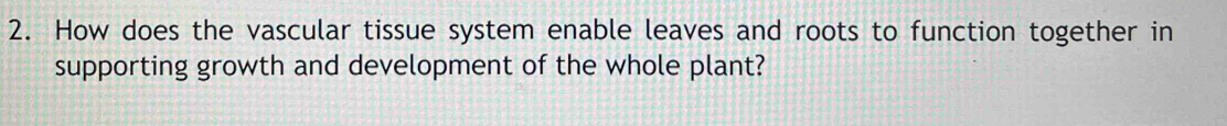 How does the vascular tissue system enable leaves and roots to function together in 
supporting growth and development of the whole plant?