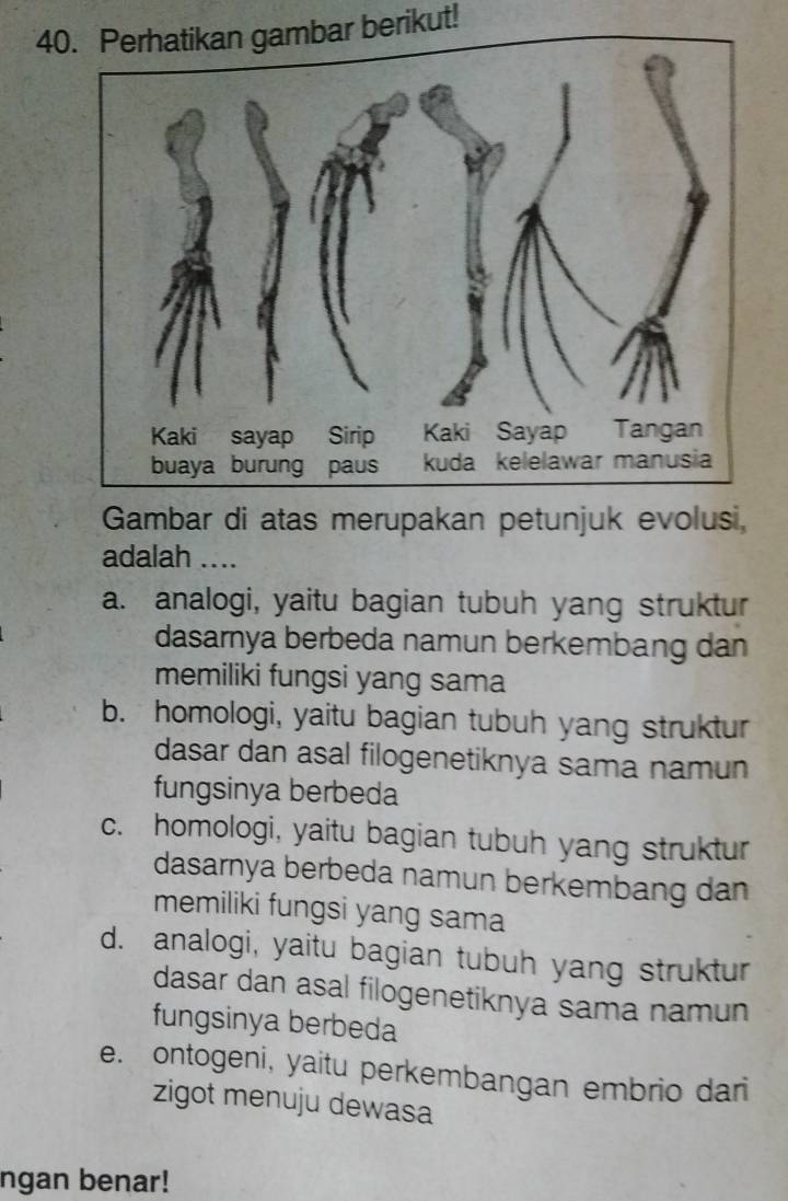 Perhatikan gambar berikut!
Gambar di atas merupakan petunjuk evolus,
adalah ....
a. analogi, yaitu bagian tubuh yang struktur
dasarnya berbeda namun berkembang dan
memiliki fungsi yang sama
b. homologi, yaitu bagian tubuh yang struktur
dasar dan asal filogenetiknya sama namun
fungsinya berbeda
c. homologi, yaitu bagian tubuh yang struktur
dasarnya berbeda namun berkembang dan
memiliki fungsi yang sama
d. analogi, yaitu bagian tubuh yang struktur
dasar dan asal filogenetiknya sama namun
fungsinya berbeda
e. ontogeni, yaitu perkembangan embrio dari
zigot menuju dewasa
ngan benar!