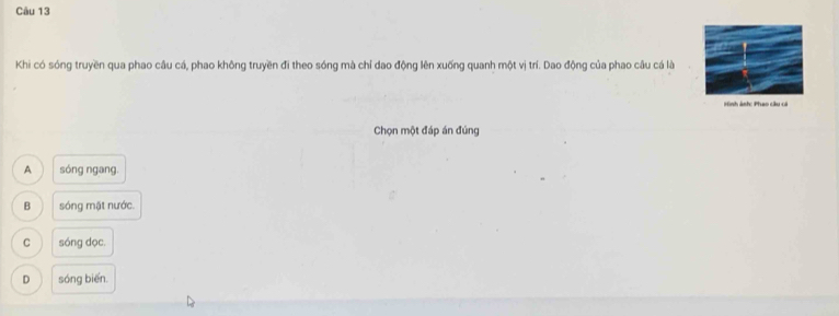 Khi có sóng truyền qua phao câu cá, phao không truyền đi theo sóng mà chỉ dao động lên xuống quanh một vị trí. Dao động của phao câu cá là
Hình ảnh: Phao câu cá
Chọn một đáp án đúng
A sóng ngang.
B sóng mặt nước.
C sóng dọc
D sóng biēn.