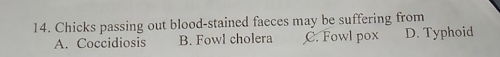 Chicks passing out blood-stained faeces may be suffering from
A. Coccidiosis B. Fowl cholera C. Fowl pox D. Typhoid