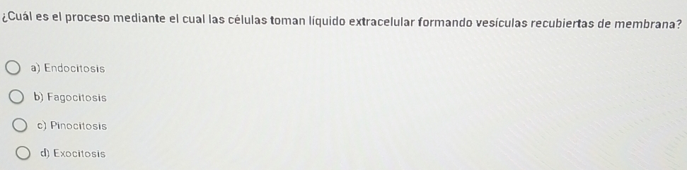 ¿Cuál es el proceso mediante el cual las células toman líquido extracelular formando vesículas recubiertas de membrana?
a) Endocitosis
b) Fagocitosis
c) Pinocitosis
d) Exocitosis