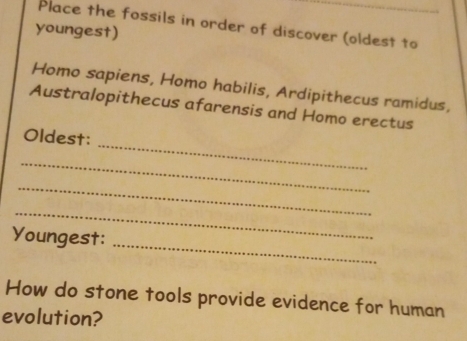 Solved: Place the fossils in order of discover (oldest to youngest ...