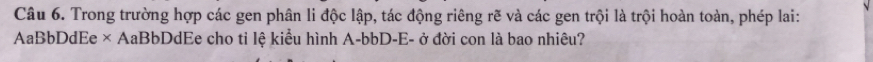 Trong trường hợp các gen phân li độc lập, tác động riêng rẽ và các gen trội là trội hoàn toàn, phép lai: 
AaBbDdEe × AaBbDdEe cho tỉ lệ kiểu hình A-bbD-E- ở đời con là bao nhiêu?