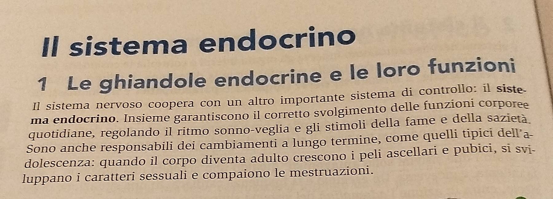 Il sistema endocrino 
1 Le ghiandole endocrine e le loro funzioni 
Il sistema nervoso coopera con un altro importante sistema di controllo: il siste 
ma endocrino. Insieme garantiscono il corretto svolgimento delle funzioni corporee 
quotidiane, regolando il ritmo sonno-veglia e gli stimoli della fame e della sazietà. 
Sono anche responsabili dei cambiamenti a lungo termine, come quelli tipici dell’a 
dolescenza: quando il corpo diventa adulto crescono i peli ascellari e pubici, si svi- 
luppano i caratteri sessuali e compaiono le mestruazioni.