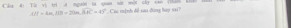 Từ vị trí 4 người ta quan sát m^3/ cây cao (tham khoO Ha
AH=4m, HB=20m, widehat BAC=45° Các mệnh đề sau đúng hay sai?
