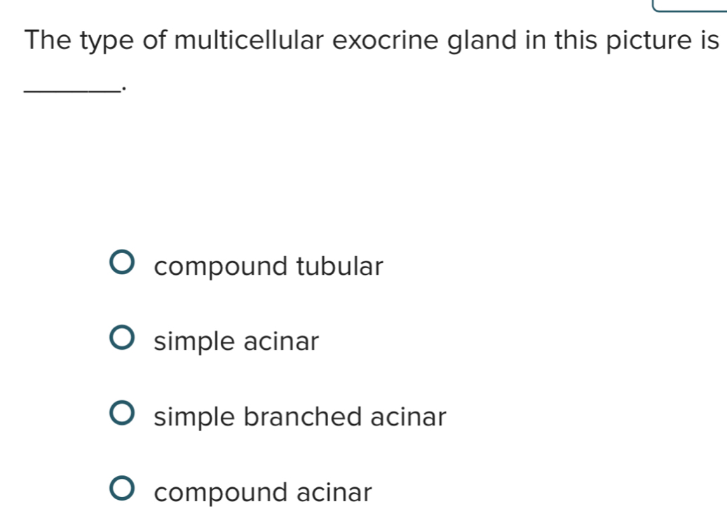 Solved: The type of multicellular exocrine gland in this picture is ...