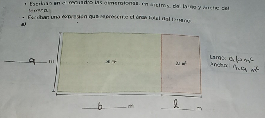 Escriban en el recuadro las dimensiones, en metros, del largo y ancho del
terreno.
Escriban una expresión que represente el área total del terreno.
a)