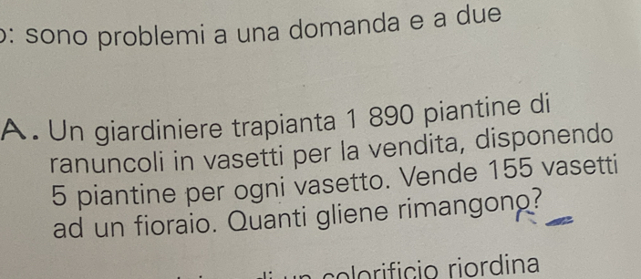 o: sono problemi a una domanda e a due 
A. Un giardiniere trapianta 1 890 piantine di 
ranuncoli in vasetti per la vendita, disponendo
5 piantine per ogni vasetto. Vende 155 vasetti 
ad un fioraio. Quanti gliene rimangono? 
ciicio riordina