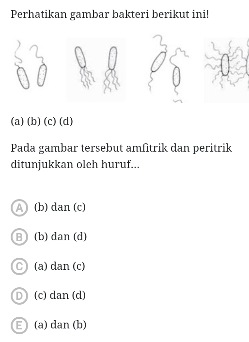 Perhatikan gambar bakteri berikut ini!
(a) (b) (c) (d)
Pada gambar tersebut amfitrik dan peritrik
ditunjukkan oleh huruf...
A (b) dan (c)
B(b) dan (d)
(a) dan (c)
(c) dan (d)
E (a) dan (b)