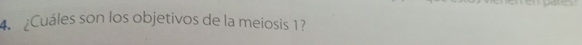 ¿Cuáles son los objetivos de la meiosis 1?