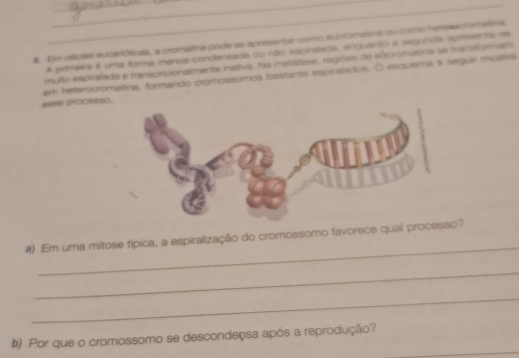 #. Em osluas eucaróticas, a cromatina pode se apresentar como eucromatnas du como heteaciómatnau 
A primeira é uma forma meros condensada ou não esciralada, enquanto a segunida apreenta se 
multo espiralado e transcricionalmente instiva. Na metálase, regiões de ebgromatina se tranisformsm 
em heterooromatina, formando cromossomos bastante espiralados. O esquera a seguir mostra 
esse processo 
_ 
#) Em uma mitose típica, a espiralização do cromossomo favorece qual processo? 
_ 
_ 
_ 
b) Por que o cromossomo se descondensa após a reprodução?