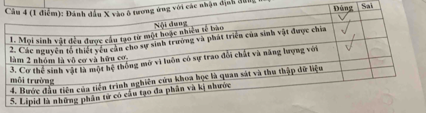 nhận định qung Sai