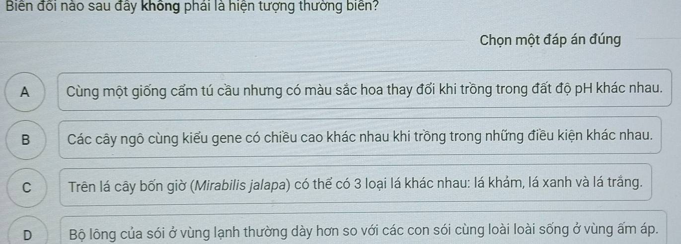 Biến đối nào sau đây không phái là hiện tượng thường biên?
Chọn một đáp án đúng
A a Cùng một giống cẩm tú cầu nhưng có màu sắc hoa thay đổi khi trồng trong đất độ pH khác nhau.
B Các cây ngô cùng kiểu gene có chiều cao khác nhau khi trồng trong những điều kiện khác nhau.
C Trên lá cây bốn giờ (Mirabilis jalapa) có thể có 3 loại lá khác nhau: lá khảm, lá xanh và lá trắng.
D Bộ lông của sói ở vùng lạnh thường dày hơn so với các con sói cùng loài loài sống ở vùng ấm áp.