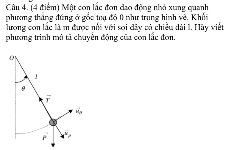 Một con lắc đơn dao động nhỏ xung quanh 
phương thắng đứng ở gốc toạ độ 0 như trong hình vẽ. Khối 
lượng con lắc là m được nối với sợi dây có chiều dài l. Hãy viết 
phương trình mô tả chuyền động của con lắc đơn.
0
1
θ
vector T
vector u_θ 
vector P vector u_rho 