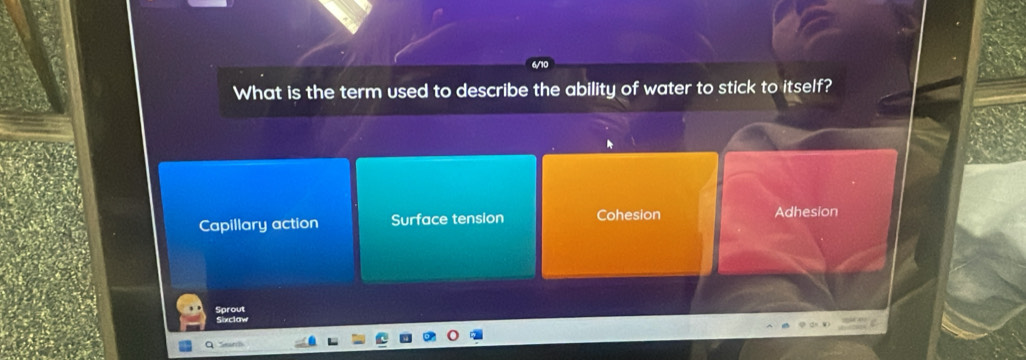 What is the term used to describe the ability of water to stick to itself?
Capillary action Surface tension Cohesion Adhesion
Sprout
Sixclaw