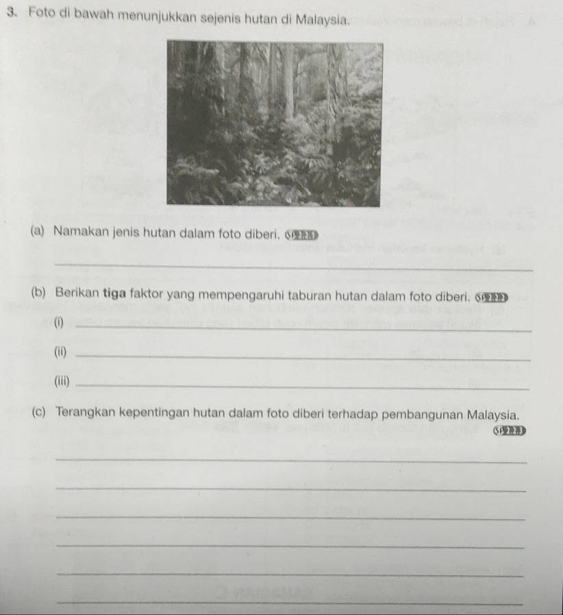 Foto di bawah menunjukkan sejenis hutan di Malaysia. 
(a) Namakan jenis hutan dalam foto diberi. 《 
_ 
(b) Berikan tiga faktor yang mempengaruhi taburan hutan dalam foto diberi. ⑤ 
(i)_ 
(ii)_ 
(iii)_ 
(c) Terangkan kepentingan hutan dalam foto diberi terhadap pembangunan Malaysia. 
S F 
_ 
_ 
_ 
_ 
_ 
_