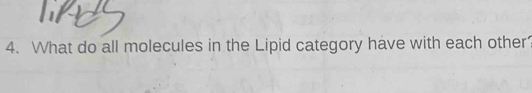 What do all molecules in the Lipid category have with each other