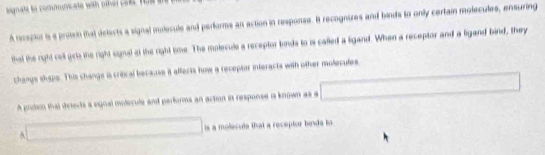 ignats to commumcate with othel cals Has 
A recepior is a protein (ha) delects a signal ivlecule and performs an action in response. It recognires and binds to only certain molecules, ensuring 
that the right cell girls the right signal at the right time. The molecule a receptor binds to is called a ligand. When a receptor and a ligand bind, they 
changs shape. This change is criical because it affects how a receptor interacts with other molecules 
A protion that detects a signal molecule and performs an action in response is known as a 
is a molecule that a receptor binds to