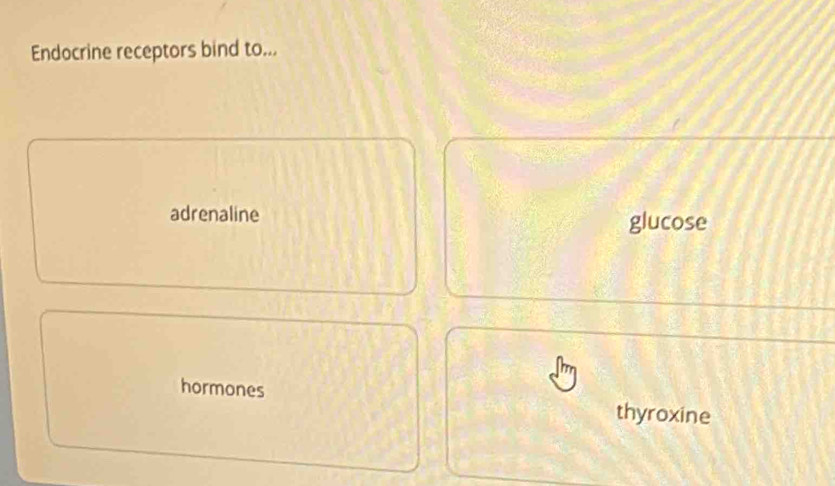 Endocrine receptors bind to...
adrenaline glucose
hormones thyroxine