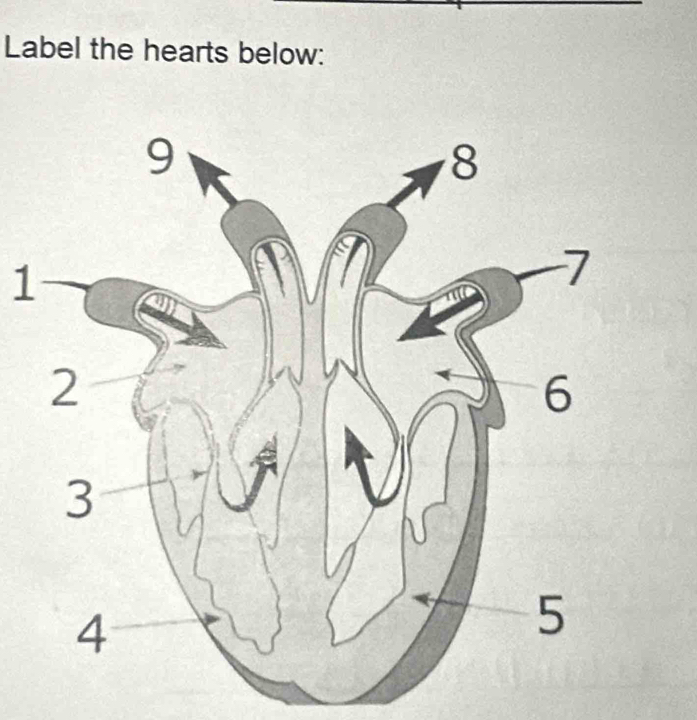 Label the hearts below: 
1