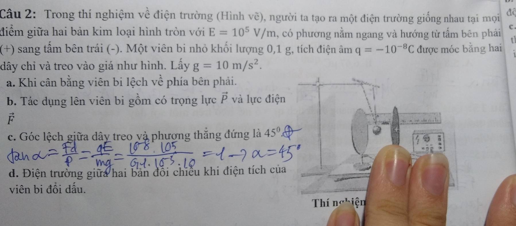 Trong thí nghiệm về điện trường (Hình vẽ), người ta tạo ra một điện trường giống nhau tại mọi đô
c
điểm giữa hai bản kim loại hình tròn với E=10^5V/m , có phương nằm ngang và hướng từ tấm bên phải t
(+) sang tấm bên trái (-). Một viên bi nhỏ khối lượng 0, 1 g, tích điện âm q=-10^(-8)C được móc bằng hai
dây chỉ và treo vào giá như hình. Lấy g=10m/s^2.
a. Khi cân bằng viên bi lệch về phía bên phải.
b. Tác dụng lên viên bi gồm có trọng lực vector P và lực điện
É
c. Góc lệch giữa dây treo và phương thăng đứng là 45°
d. Điện trường giữa hai bản đổi chiều khi điện tích của
viên bi đổi dấu.