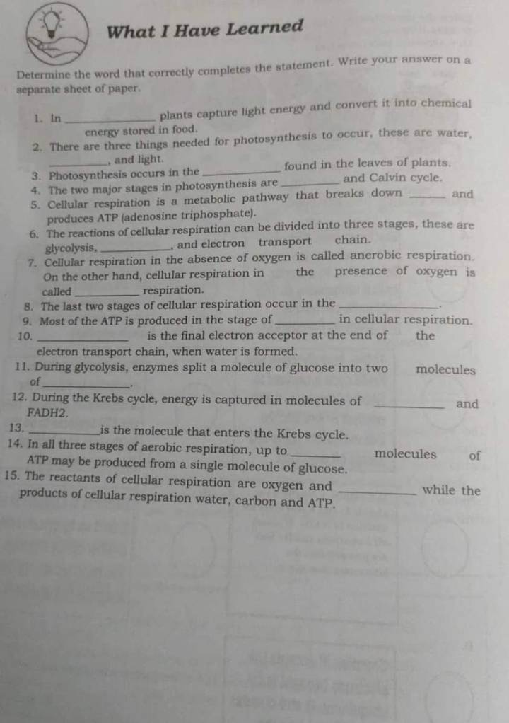 What I Have Learned 
Determine the word that correctly completes the statement. Write your answer on a 
separate sheet of paper. 
1. In_ plants capture light energy and convert it into chemical 
energy stored in food. 
2. There are three things needed for photosynthesis to occur, these are water, 
, and light. 
3. Photosynthesis occurs in the _found in the leaves of plants. 
4. The two major stages in photosynthesis are _and Calvin cycle. 
5. Cellular respiration is a metabolic pathway that breaks down _and 
produces ATP (adenosine triphosphate). 
6. The reactions of cellular respiration can be divided into three stages, these are 
glycolysis, _, and electron transport chain. 
7. Cellular respiration in the absence of oxygen is called anerobic respiration. 
On the other hand, cellular respiration in the presence of oxygen is 
called_ respiration. 
8. The last two stages of cellular respiration occur in the_ 
. 
9. Most of the ATP is produced in the stage of_ in cellular respiration. 
10. _is the final electron acceptor at the end of the 
electron transport chain, when water is formed. 
11. During glycolysis, enzymes split a molecule of glucose into two molecules 
of 
_. 
12. During the Krebs cycle, energy is captured in molecules of _and 
FADH2. 
13. _is the molecule that enters the Krebs cycle. 
14. In all three stages of aerobic respiration, up to _molecules of 
ATP may be produced from a single molecule of glucose. 
15. The reactants of cellular respiration are oxygen and _while the 
products of cellular respiration water, carbon and ATP.