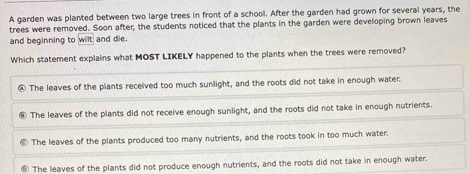 A garden was planted between two large trees in front of a school. After the garden had grown for several years, the
trees were removed. Soon after, the students noticed that the plants in the garden were developing brown leaves
and beginning to wilt and die.
Which statement explains what MOST LIKELY happened to the plants when the trees were removed?
A The leaves of the plants received too much sunlight, and the roots did not take in enough water.
The leaves of the plants did not receive enough sunlight, and the roots did not take in enough nutrients.
The leaves of the plants produced too many nutrients, and the roots took in too much water.
D The leaves of the plants did not produce enough nutrients, and the roots did not take in enough water.