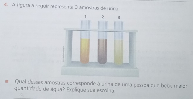 A figura a seguir representa 3 amostras de urina. 
Qual dessas amostras corresponde à urina de uma pessoa que bebe maior 
quantidade de água? Explique sua escolha. 
_